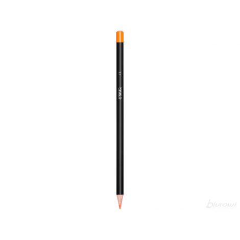 Kredki ołówkowe Bic Intensity Premium, 24 kolorów - 2